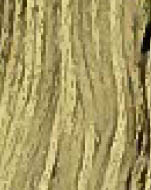 Broom Tree